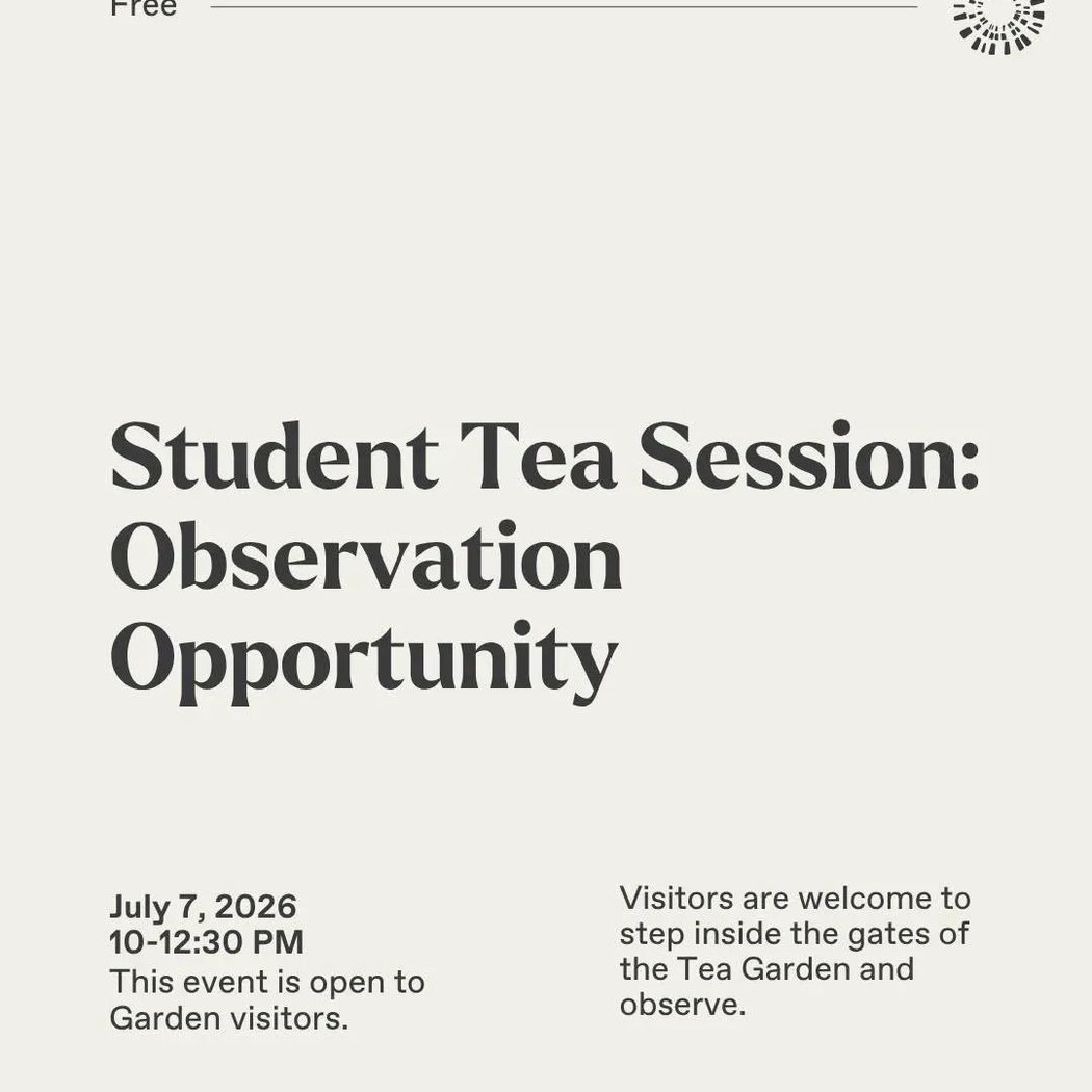 Student Tea Session 1